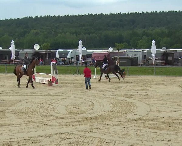 Reitturnier Detter 2016