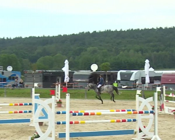 Reitturnier Detter 2016