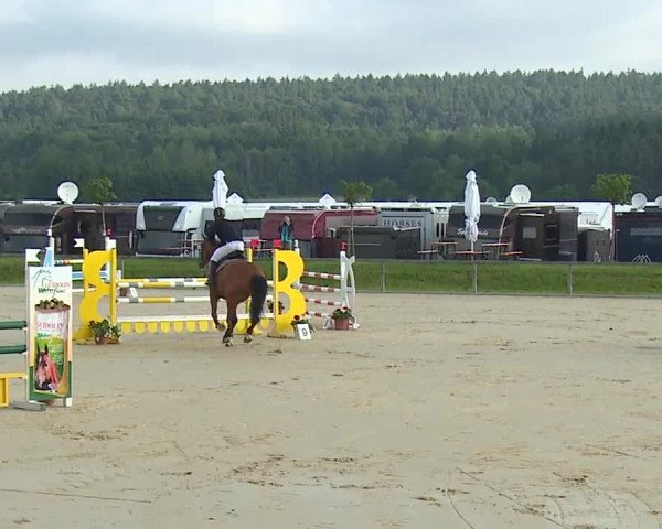 Reitturnier Detter 2016