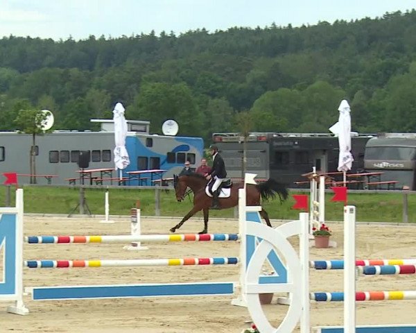 Reitturnier Detter 2016