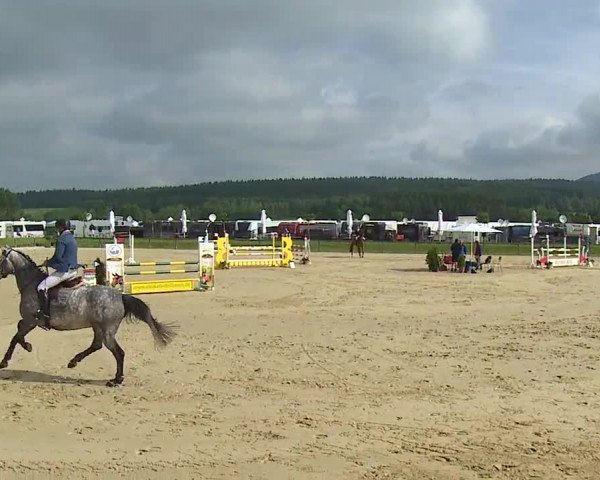 Reitturnier Detter 2016
