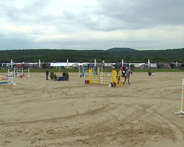 Reitturnier Detter 2016