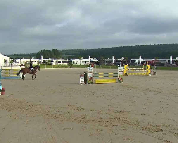 Reitturnier Detter 2016
