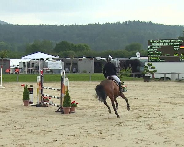 Reitturnier Detter 2016