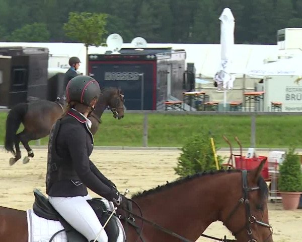 Reitturnier Detter 2016