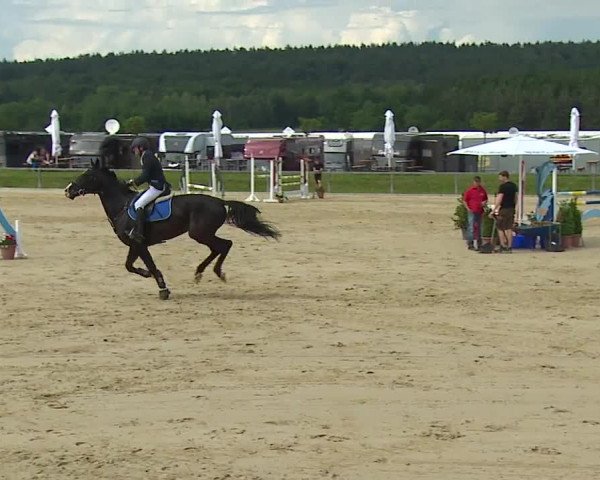 Reitturnier Detter 2016