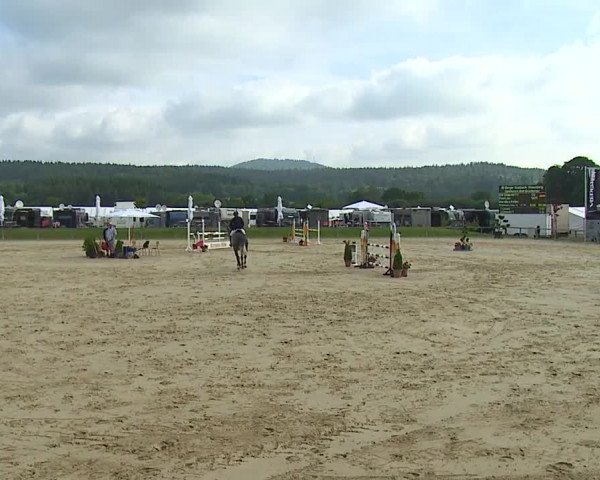 Reitturnier Detter 2016
