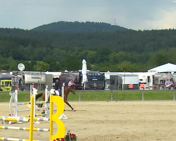 Reitturnier Detter 2016