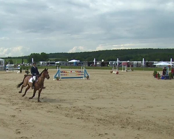 Reitturnier Detter 2016