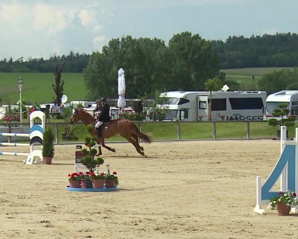 Reitturnier Detter 2016