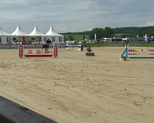 Reitturnier Detter 2016