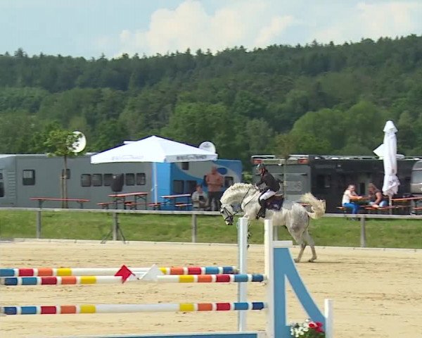Reitturnier Detter 2016