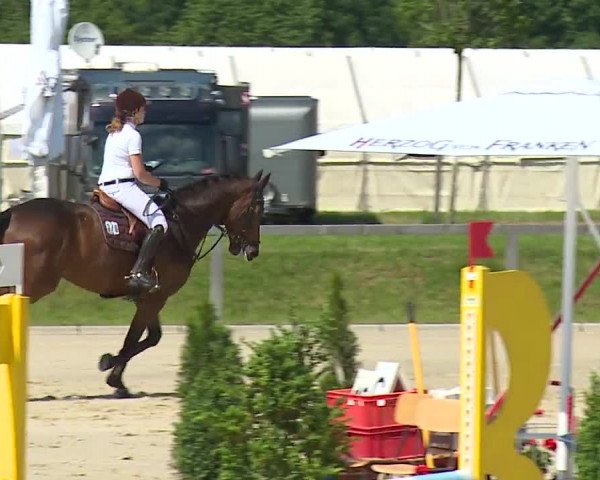 Reitturnier Detter 2016