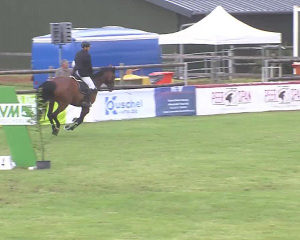 Reitturnier Tasdorf 2016