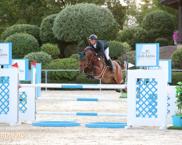 Springpferd Valentina Rs (Hannoveraner, 2008, von Valentino)