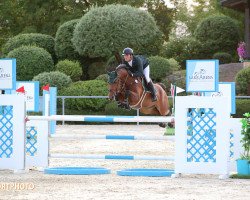 jumper Valentina Rs (Hanoverian, 2008, from Valentino)