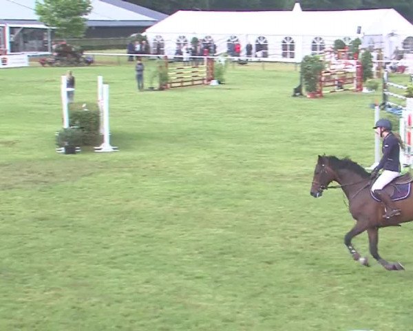 Reitturnier Tasdorf 2016