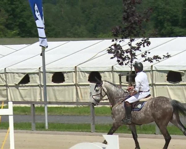 Reitturnier Detter 2016