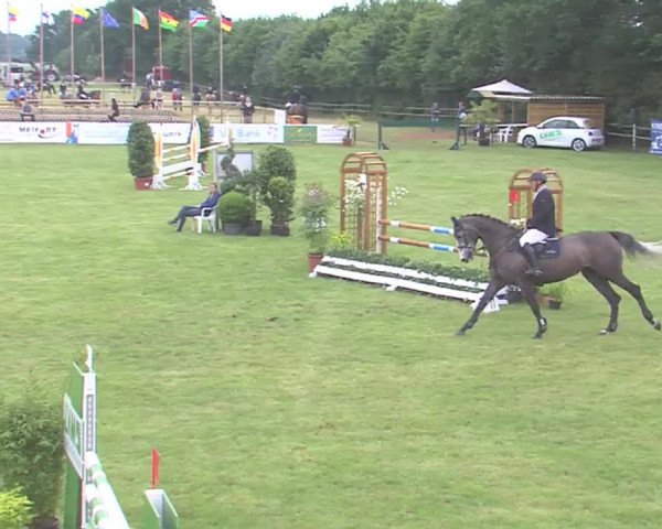 Reitturnier Tasdorf 2016
