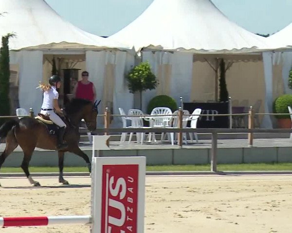 Reitturnier Detter 2016