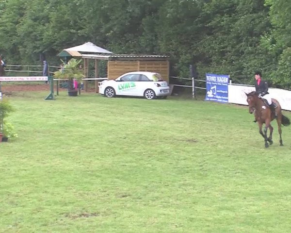 Reitturnier Tasdorf 2016