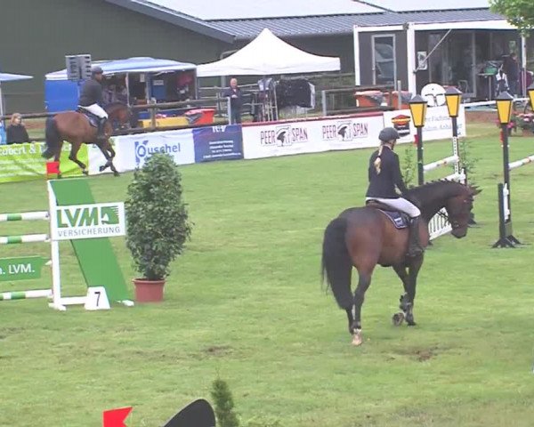 Reitturnier Tasdorf 2016