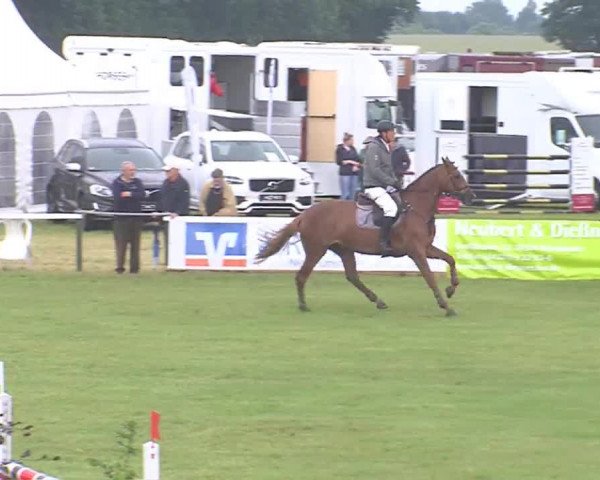 Reitturnier Tasdorf 2016
