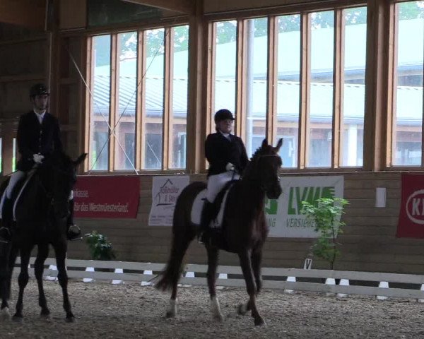 Coesfelder Reitertage 2016