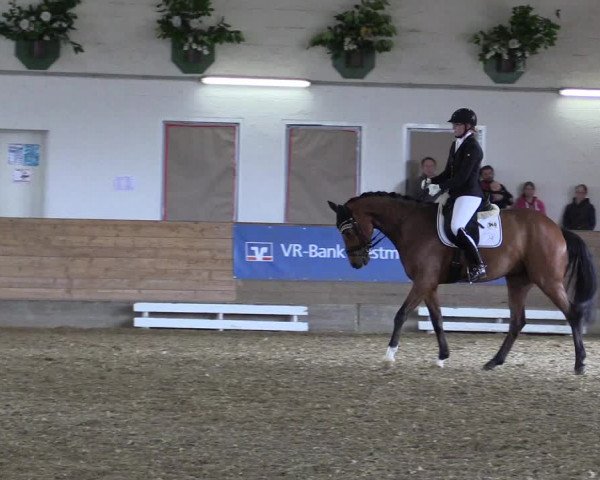 Coesfelder Reitertage 2016