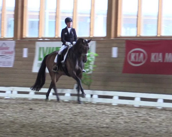 Coesfelder Reitertage 2016