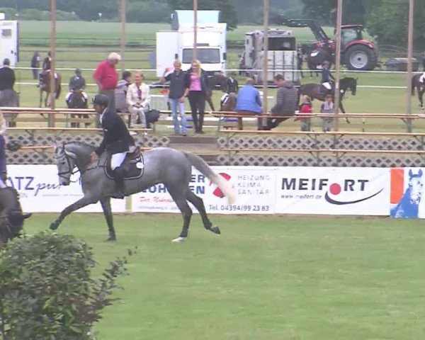 Reitturnier Tasdorf 2016