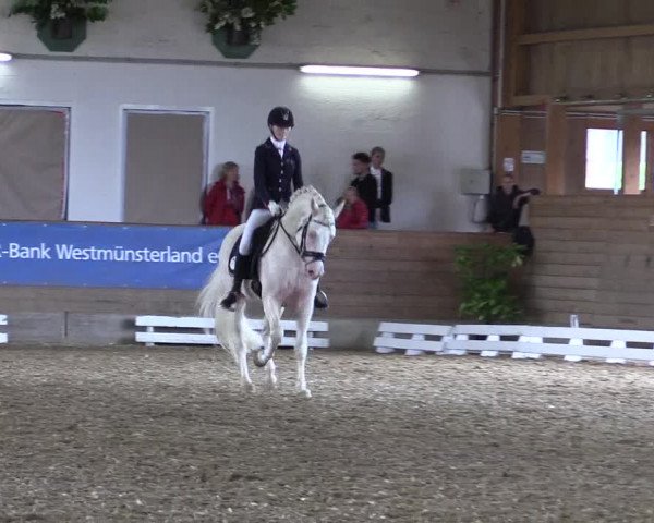 Coesfelder Reitertage 2016