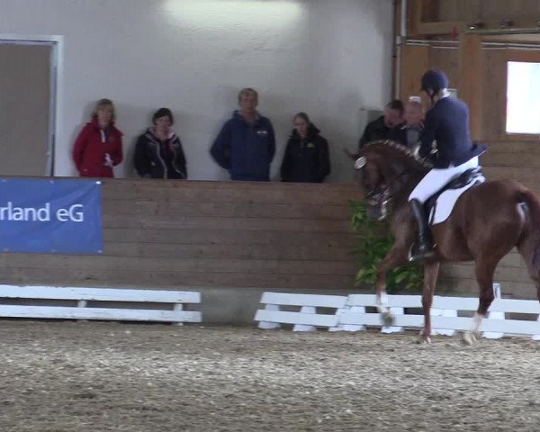 Coesfelder Reitertage 2016