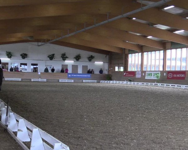 Coesfelder Reitertage 2016