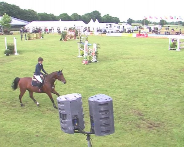 Reitturnier Tasdorf 2016