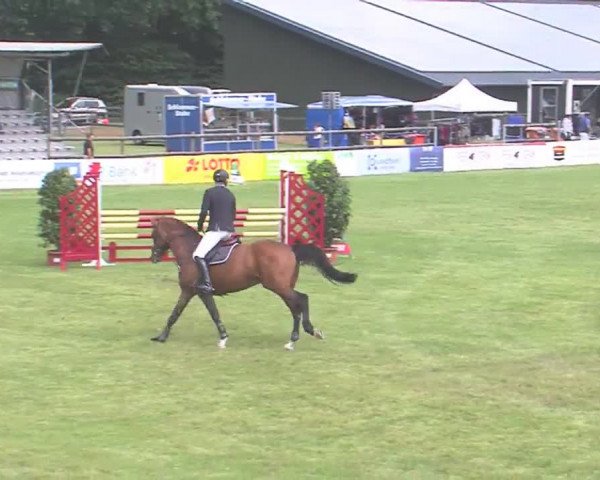 Reitturnier Tasdorf 2016