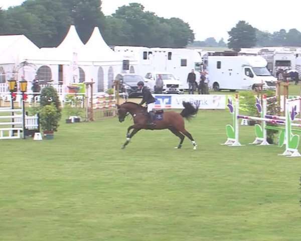 Reitturnier Tasdorf 2016