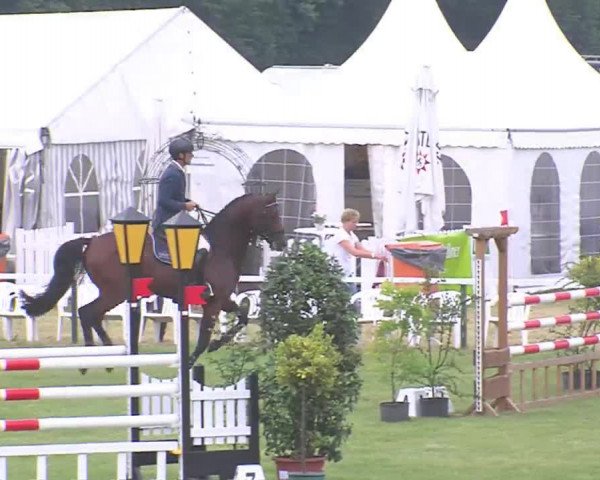Reitturnier Tasdorf 2016