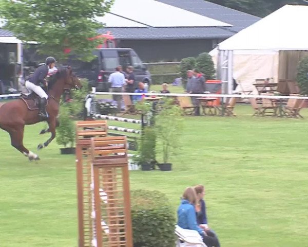 Reitturnier Tasdorf 2016