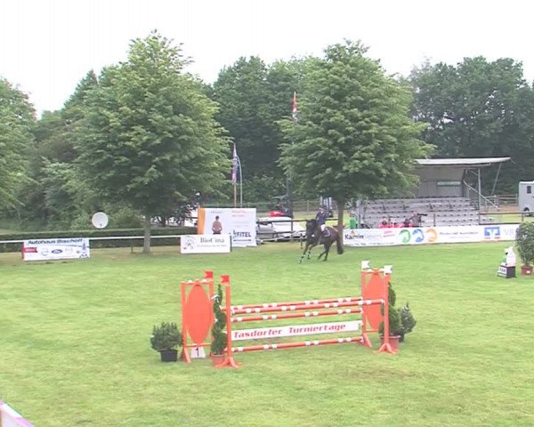 Reitturnier Tasdorf 2016