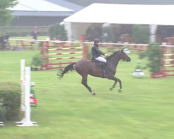 Reitturnier Tasdorf 2016