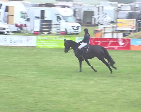 Reitturnier Tasdorf 2016