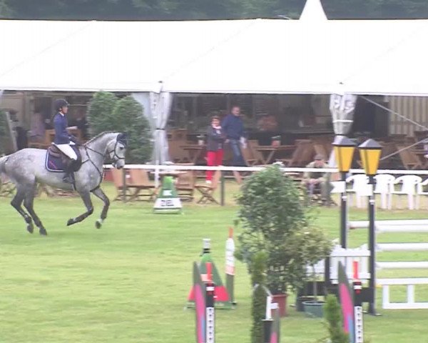 Reitturnier Tasdorf 2016