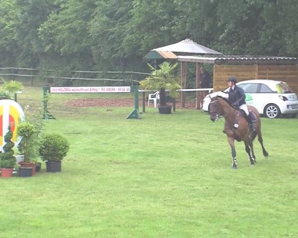 Reitturnier Tasdorf 2016