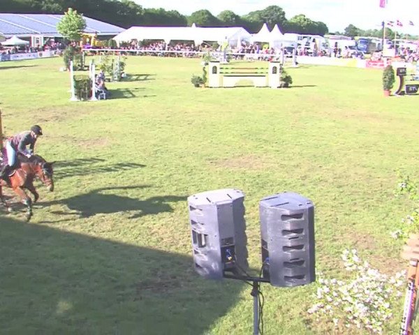 Reitturnier Tasdorf 2016