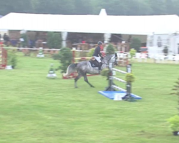 Reitturnier Tasdorf 2016