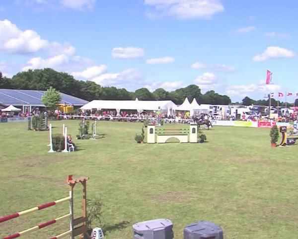 Reitturnier Tasdorf 2016