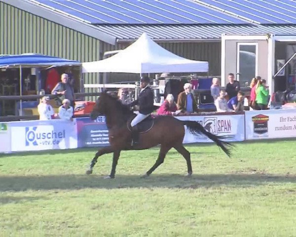 Reitturnier Tasdorf 2016