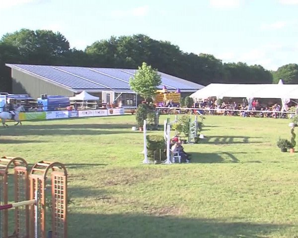 Reitturnier Tasdorf 2016