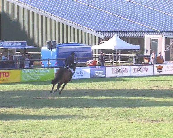 Reitturnier Tasdorf 2016